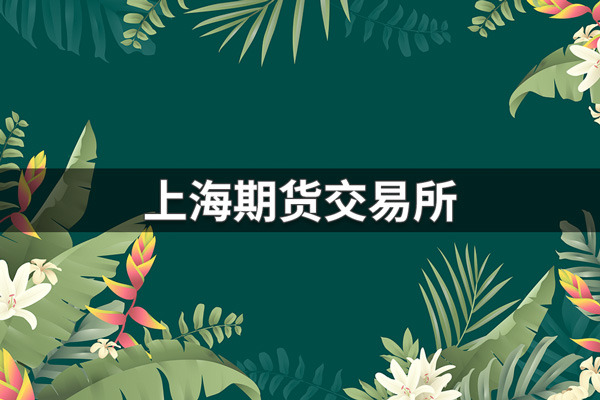 上海期货交易所凯发app官网，附上期所凯发app官网凯发app首页截图