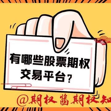 国内目前有哪些股票期权交易平台？